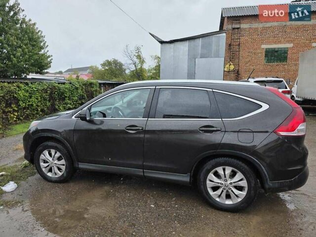 Коричневый Хонда СРВ, объемом двигателя 2.35 л и пробегом 147 тыс. км за 15700 $, фото 1 на Automoto.ua