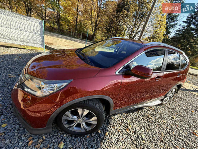 Хонда СРВ 2013 в Трускавце на Automoto.ua Красный Хонда СРВ, объемом двигателя 2.2 л и пробегом 293 тыс. км за 16599 $, фото 65 на Automoto.ua