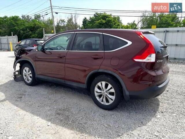 Червоний Хонда СРВ, об'ємом двигуна 2.36 л та пробігом 150 тис. км за 11300 $, фото 6 на Automoto.ua