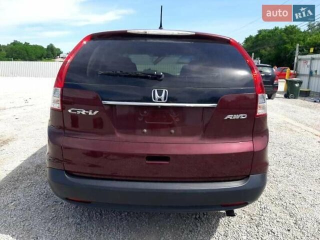 Червоний Хонда СРВ, об'ємом двигуна 2.36 л та пробігом 150 тис. км за 11300 $, фото 2 на Automoto.ua