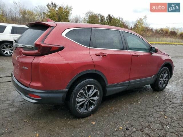 Красный Хонда СРВ, объемом двигателя 1.5 л и пробегом 53 тыс. км за 6500 $, фото 2 на Automoto.ua