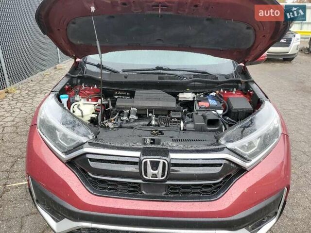 Красный Хонда СРВ, объемом двигателя 1.5 л и пробегом 53 тыс. км за 6500 $, фото 11 на Automoto.ua