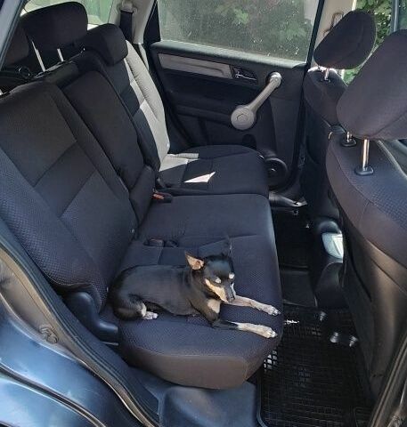 Серый Хонда СРВ, объемом двигателя 2 л и пробегом 218 тыс. км за 7800 $, фото 8 на Automoto.ua