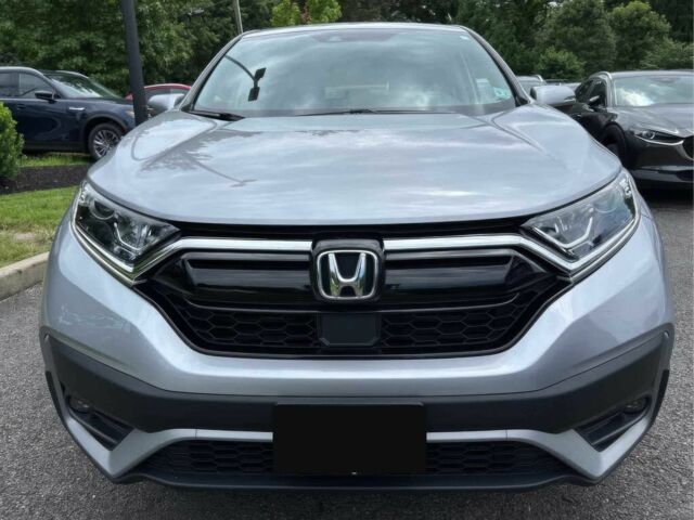 Серый Хонда СРВ, объемом двигателя 1.5 л и пробегом 19 тыс. км за 14500 $, фото 1 на Automoto.ua