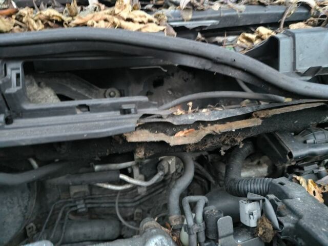 Синий Хонда СРВ, объемом двигателя 2.2 л и пробегом 250 тыс. км за 1900 $, фото 6 на Automoto.ua