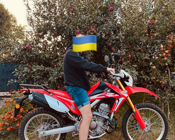 Красный Хонда CRF 250L, объемом двигателя 0.25 л и пробегом 16 тыс. км за 5000 $, фото 12 на Automoto.ua