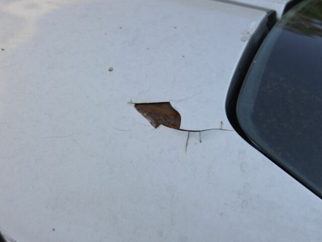 Сірий Хонда Сівік, об'ємом двигуна 2 л та пробігом 249 тис. км за 5800 $, фото 20 на Automoto.ua