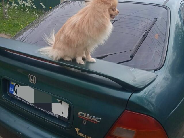 Зелений Хонда Сівік, об'ємом двигуна 1 л та пробігом 370 тис. км за 1600 $, фото 5 на Automoto.ua