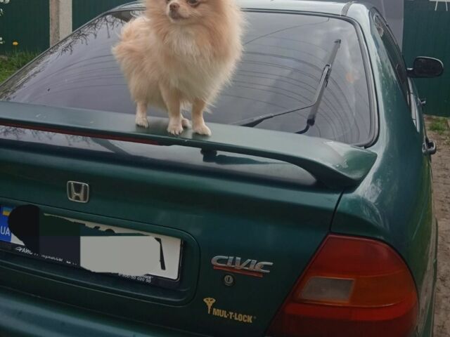 Зелений Хонда Сівік, об'ємом двигуна 1 л та пробігом 370 тис. км за 1600 $, фото 2 на Automoto.ua