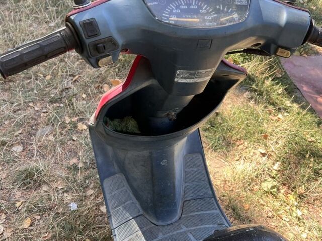 Хонда Дио, объемом двигателя 50 л и пробегом 0 тыс. км за 202 $, фото 6 на Automoto.ua