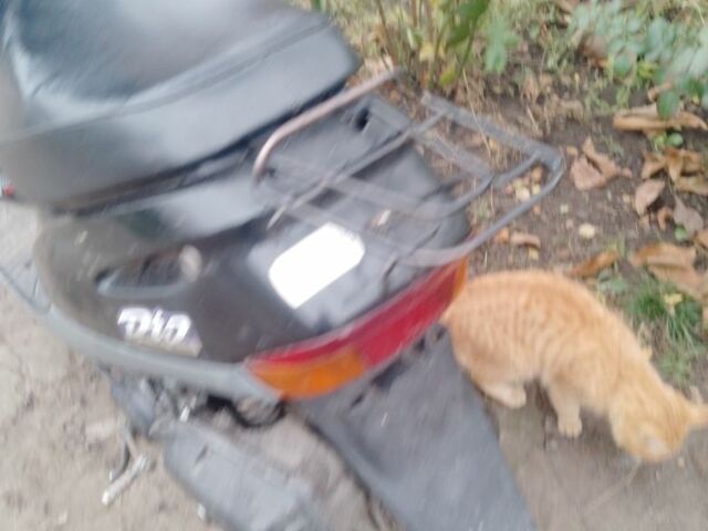 Хонда Дио, объемом двигателя 50 л и пробегом 0 тыс. км за 178 $, фото 4 на Automoto.ua