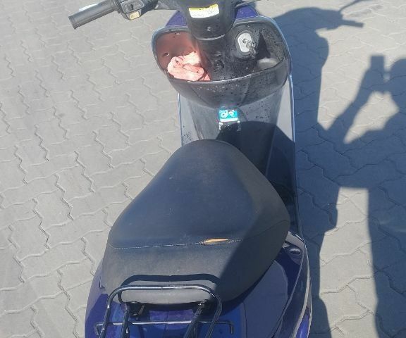 Хонда Інша, об'ємом двигуна 49 л та пробігом 0 тис. км за 400 $, фото 2 на Automoto.ua