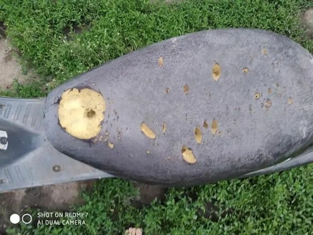 Хонда Другая, объемом двигателя 49 л и пробегом 0 тыс. км за 130 $, фото 5 на Automoto.ua