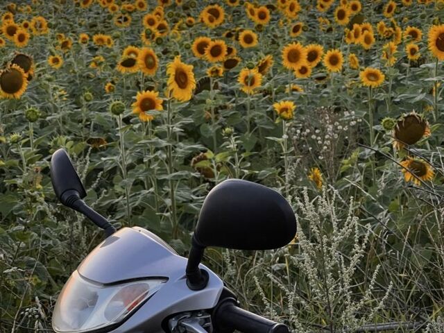 Хонда Другая, объемом двигателя 59 л и пробегом 0 тыс. км за 800 $, фото 5 на Automoto.ua