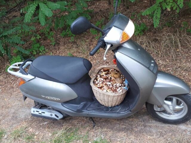 Хонда Другая, объемом двигателя 49 л и пробегом 0 тыс. км за 700 $, фото 2 на Automoto.ua