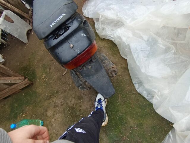 Хонда Інша, об'ємом двигуна 65 л та пробігом 0 тис. км за 95 $, фото 2 на Automoto.ua