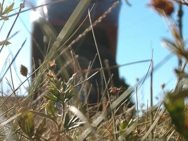 Хонда Другая, объемом двигателя 50 л и пробегом 0 тыс. км за 190 $, фото 2 на Automoto.ua