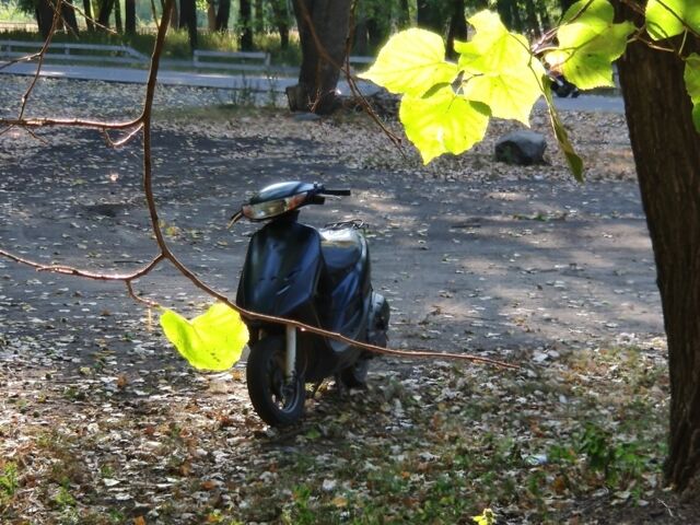 Хонда Другая, объемом двигателя 49 л и пробегом 0 тыс. км за 218 $, фото 5 на Automoto.ua