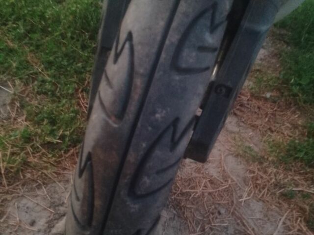 Хонда Другая, объемом двигателя 50 л и пробегом 0 тыс. км за 197 $, фото 6 на Automoto.ua