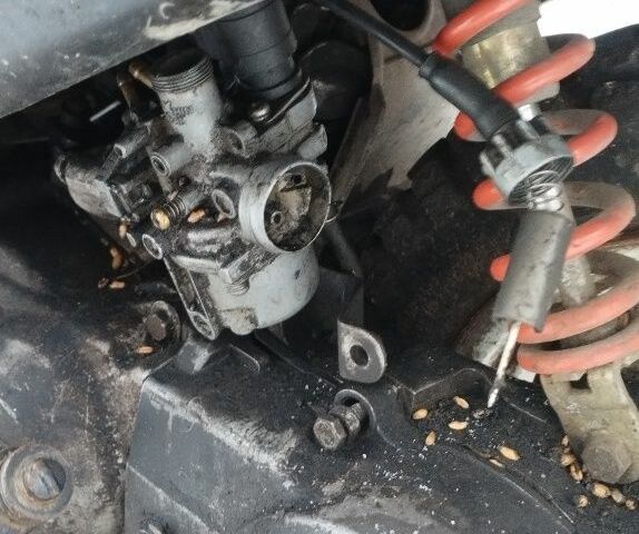 Хонда Другая, объемом двигателя 49 л и пробегом 0 тыс. км за 95 $, фото 9 на Automoto.ua