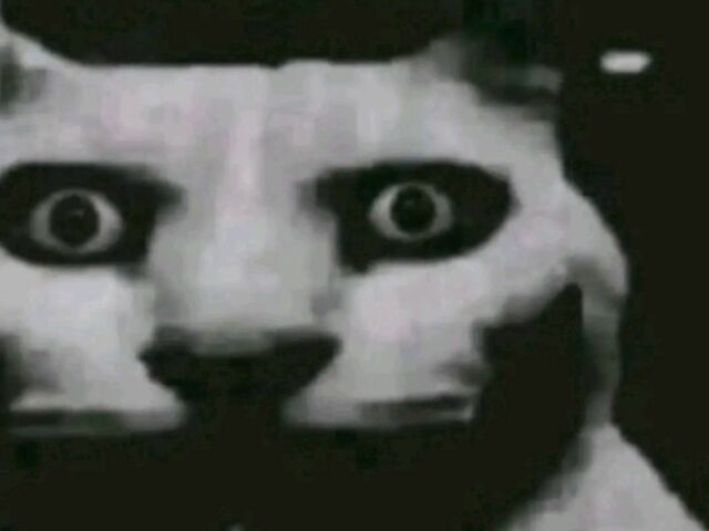 Хонда Другая, объемом двигателя 50 л и пробегом 0 тыс. км за 213 $, фото 9 на Automoto.ua