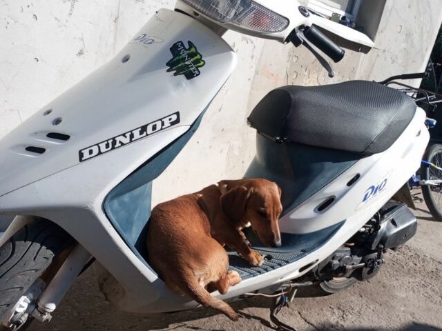 Хонда Другая, объемом двигателя 50 л и пробегом 0 тыс. км за 237 $, фото 1 на Automoto.ua