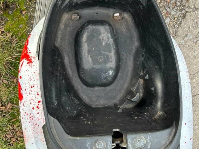 Хонда Другая, объемом двигателя 49 л и пробегом 0 тыс. км за 319 $, фото 7 на Automoto.ua