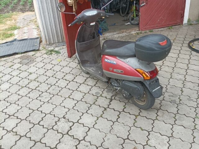 Хонда Другая, объемом двигателя 49 л и пробегом 0 тыс. км за 170 $, фото 7 на Automoto.ua