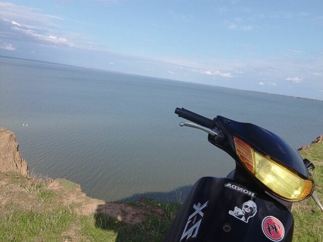 Хонда Інша, об'ємом двигуна 49 л та пробігом 0 тис. км за 344 $, фото 4 на Automoto.ua