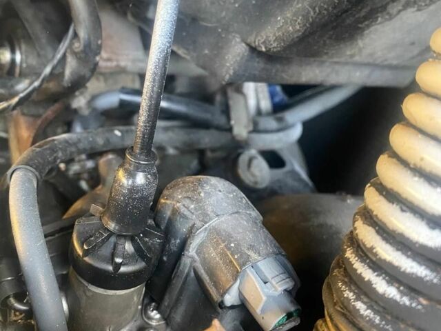 Хонда Другая, объемом двигателя 65 л и пробегом 0 тыс. км за 442 $, фото 2 на Automoto.ua