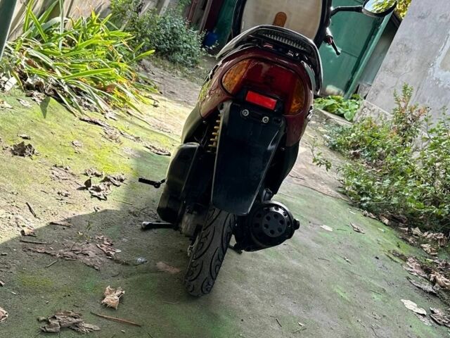 Хонда Другая, объемом двигателя 49 л и пробегом 0 тыс. км за 450 $, фото 6 на Automoto.ua