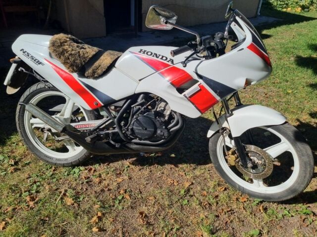 Хонда Другая, объемом двигателя 50 л и пробегом 0 тыс. км за 714 $, фото 5 на Automoto.ua