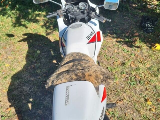 Хонда Другая, объемом двигателя 50 л и пробегом 0 тыс. км за 714 $, фото 7 на Automoto.ua