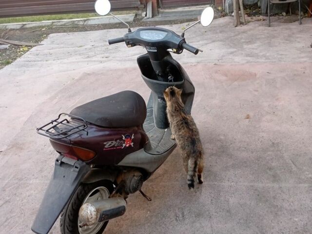 Хонда Другая, объемом двигателя 50 л и пробегом 0 тыс. км за 240 $, фото 2 на Automoto.ua