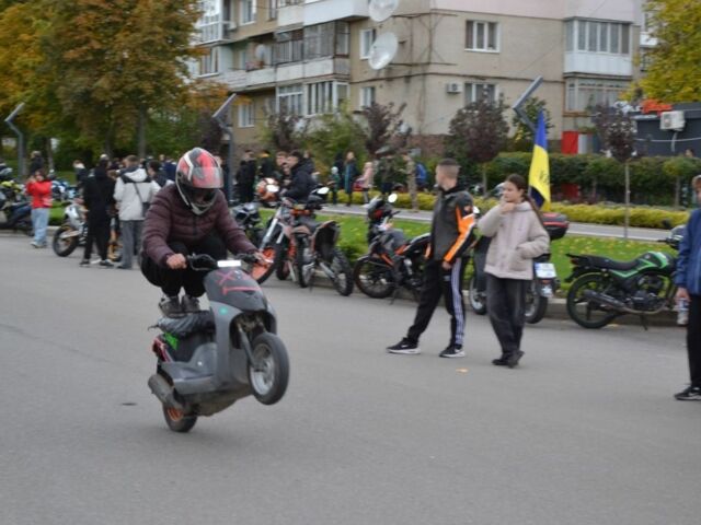 Хонда Інша, об'ємом двигуна 65 л та пробігом 0 тис. км за 245 $, фото 2 на Automoto.ua