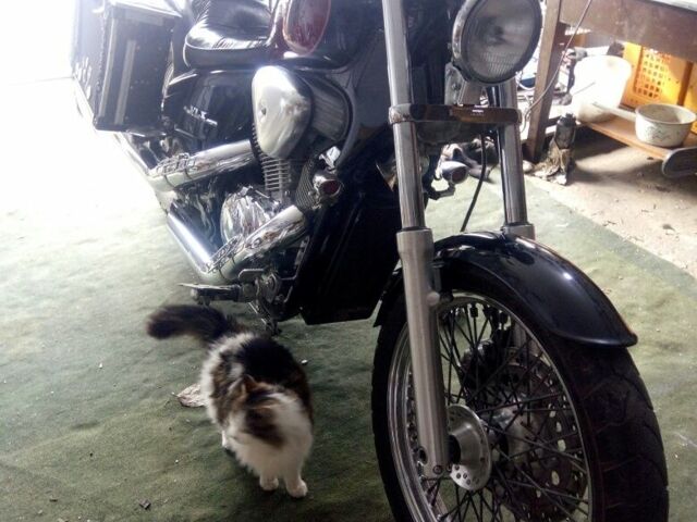 Хонда Другая, объемом двигателя 0.4 л и пробегом 0 тыс. км за 3500 $, фото 3 на Automoto.ua