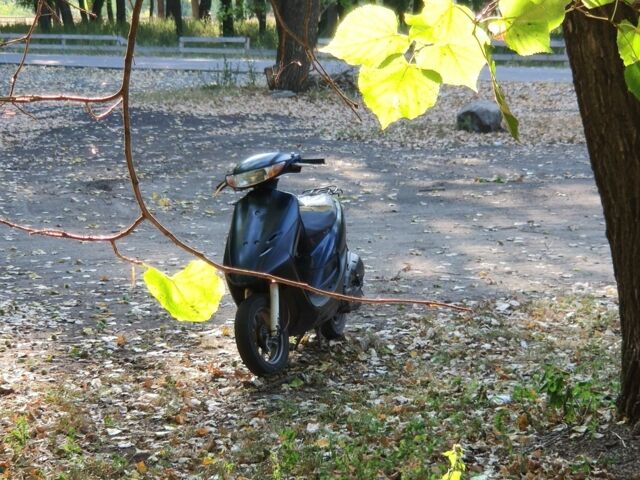 Хонда Другая, объемом двигателя 49 л и пробегом 0 тыс. км за 233 $, фото 5 на Automoto.ua