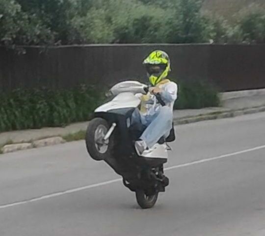 Хонда Другая, объемом двигателя 65 л и пробегом 0 тыс. км за 335 $, фото 1 на Automoto.ua