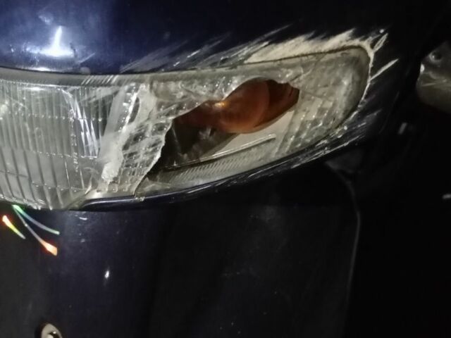 Хонда Другая, объемом двигателя 50 л и пробегом 0 тыс. км за 262 $, фото 3 на Automoto.ua