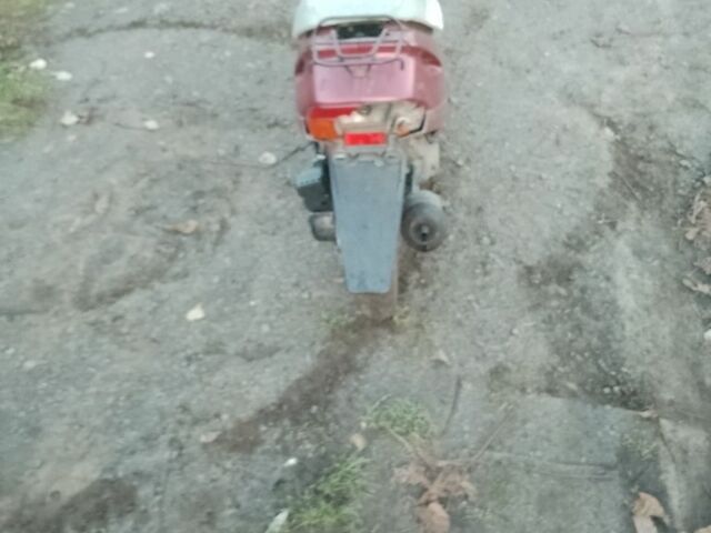 Хонда Інша, об'ємом двигуна 49 л та пробігом 0 тис. км за 136 $, фото 3 на Automoto.ua