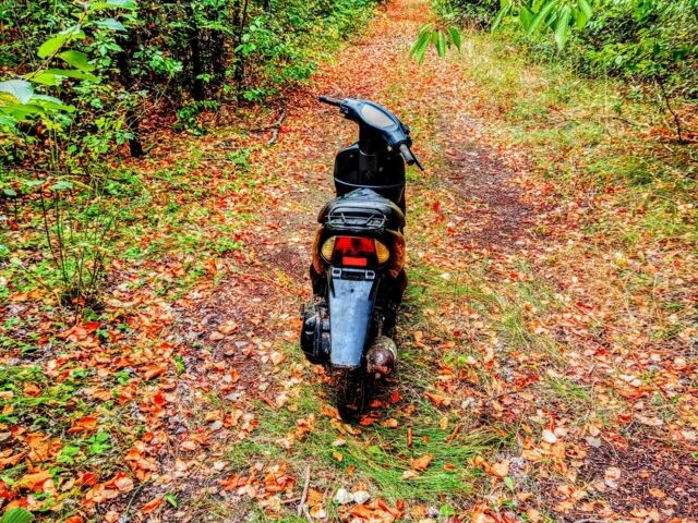 Хонда Другая, объемом двигателя 65 л и пробегом 0 тыс. км за 252 $, фото 5 на Automoto.ua