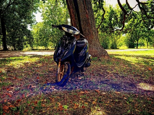 Хонда Другая, объемом двигателя 65 л и пробегом 0 тыс. км за 252 $, фото 2 на Automoto.ua