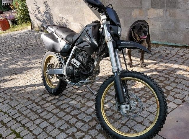 Хонда Інша, об'ємом двигуна 0.25 л та пробігом 0 тис. км за 2600 $, фото 1 на Automoto.ua