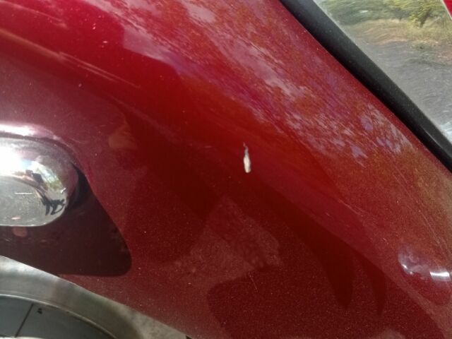 Хонда Інша, об'ємом двигуна 1.1 л та пробігом 0 тис. км за 5000 $, фото 6 на Automoto.ua