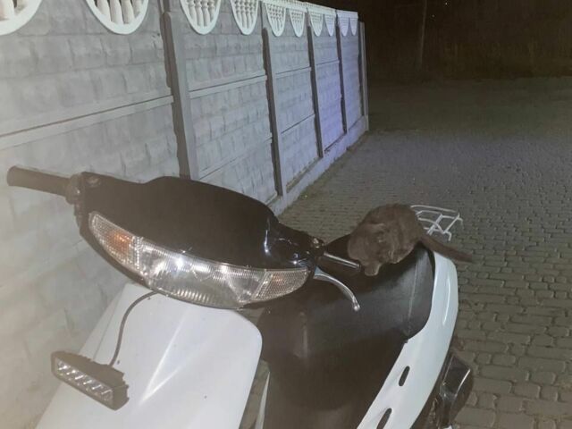 Хонда Другая, объемом двигателя 65 л и пробегом 0 тыс. км за 239 $, фото 3 на Automoto.ua