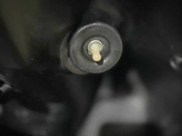 Хонда Інша, об'ємом двигуна 49 л та пробігом 0 тис. км за 264 $, фото 7 на Automoto.ua