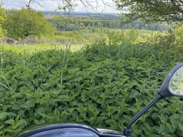 Хонда Другая, объемом двигателя 49 л и пробегом 0 тыс. км за 599 $, фото 4 на Automoto.ua