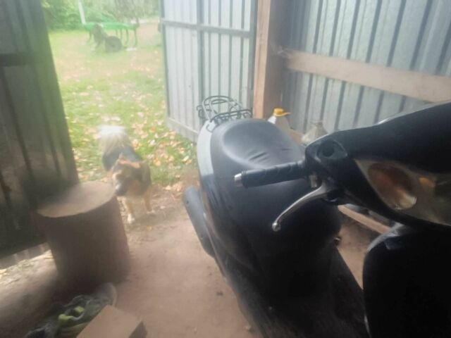 Хонда Другая, объемом двигателя 49 л и пробегом 0 тыс. км за 639 $, фото 4 на Automoto.ua