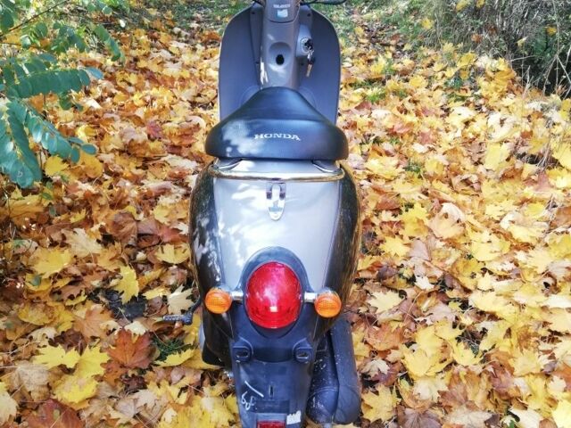 Хонда Інша, об'ємом двигуна 49 л та пробігом 0 тис. км за 399 $, фото 1 на Automoto.ua