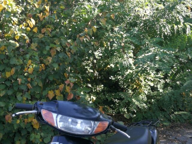 Хонда Другая, объемом двигателя 50 л и пробегом 0 тыс. км за 466 $, фото 8 на Automoto.ua